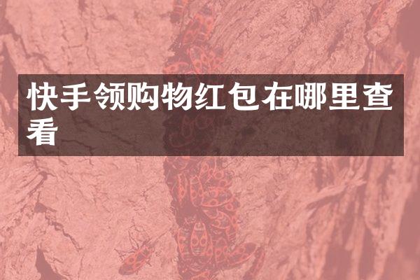 快手领购物红包在哪里查看