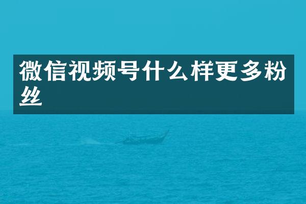 微信视频号什么样更多粉丝