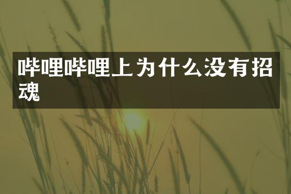 哔哩哔哩上为什么没有招魂