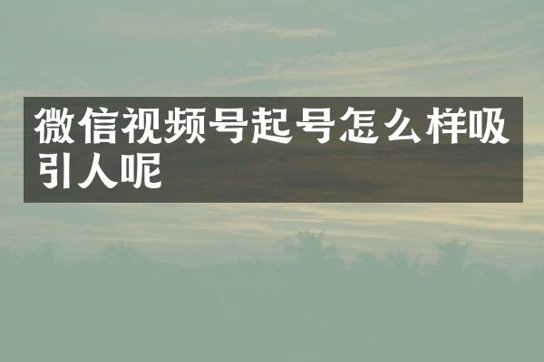 微信视频号起号怎么样吸引人呢