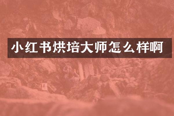 小红书烘培大师怎么样啊