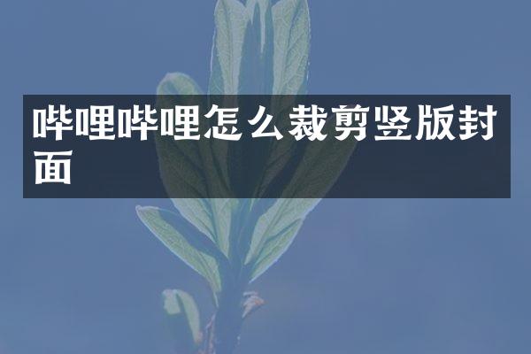哔哩哔哩怎么裁剪竖版封面