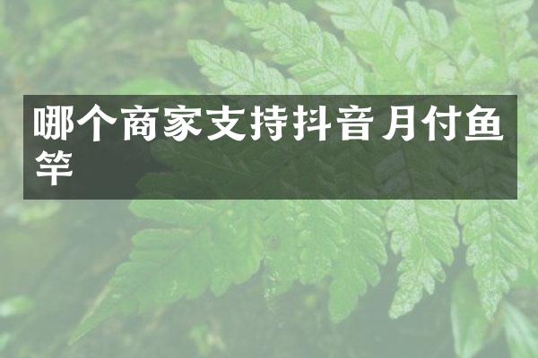 哪个商家支持抖音月付鱼竿
