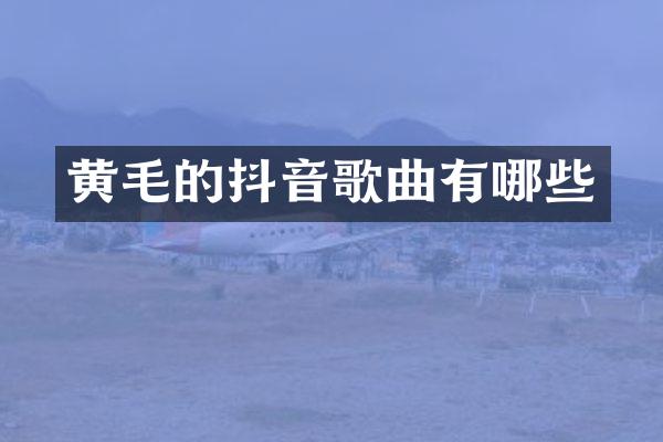 黄毛的抖音歌曲有哪些
