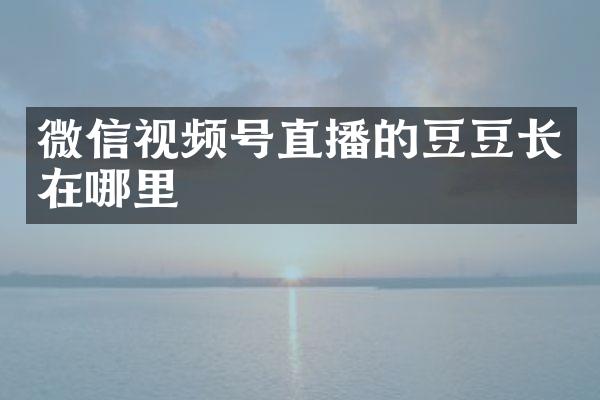 微信视频号直播的豆豆长在哪里