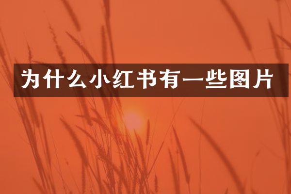 为什么小红书有一些图片