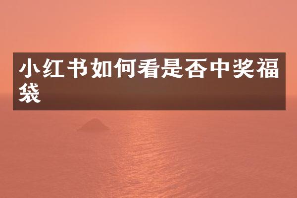 小红书如何看是否中奖福袋