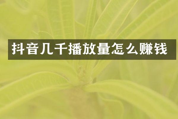 抖音几千播放量怎么赚钱