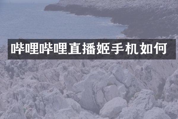 哔哩哔哩直播姬手机如何