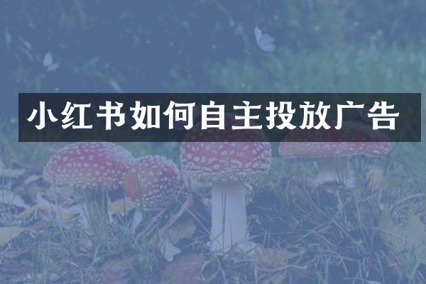 小红书如何自主投放广告