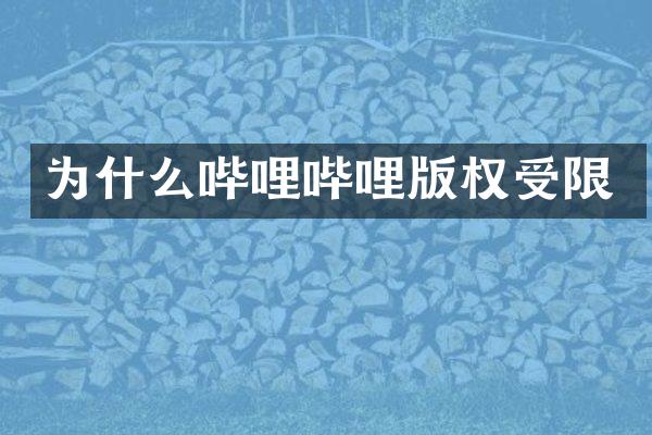 为什么哔哩哔哩版权受限