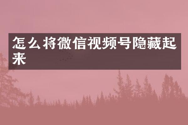 怎么将微信视频号隐藏起来