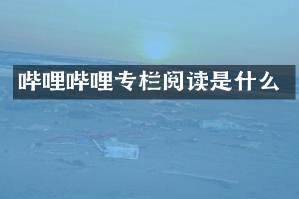哔哩哔哩专栏阅读是什么