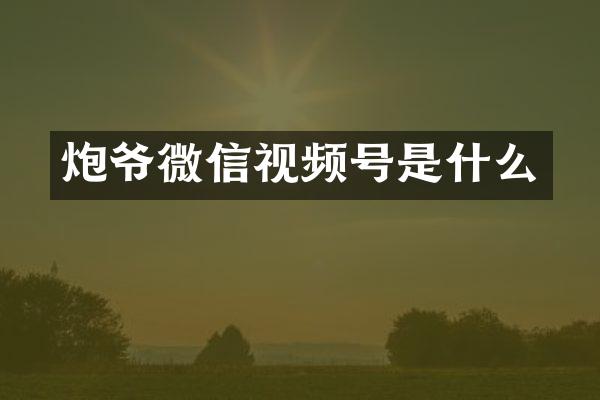 炮爷微信视频号是什么