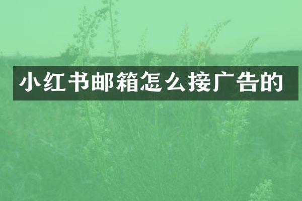 小红书邮箱怎么接广告的