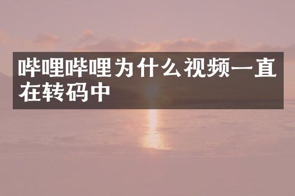 哔哩哔哩为什么视频一直在转码中