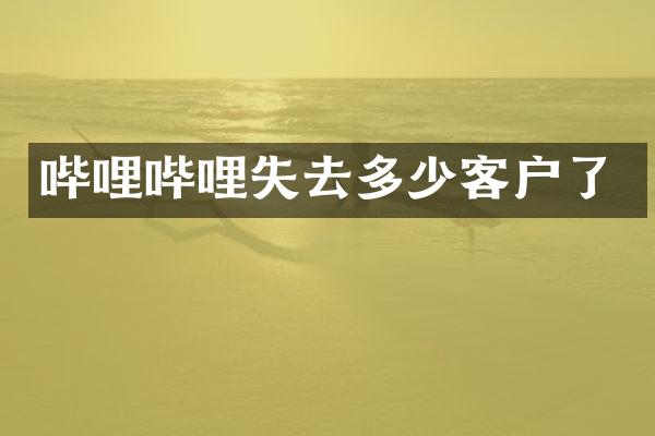 哔哩哔哩失去多少客户了
