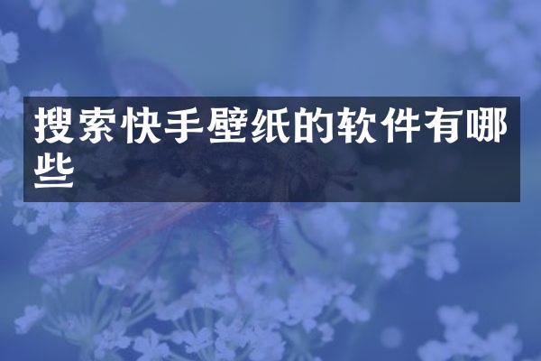 搜索快手壁纸的软件有哪些