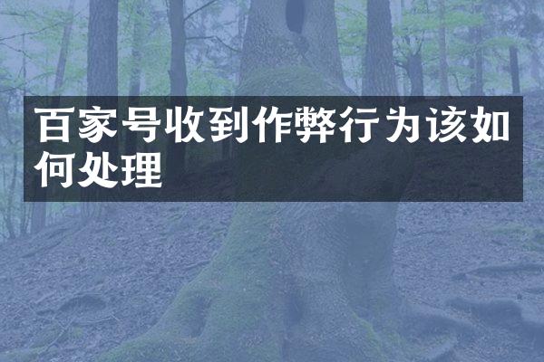 百家号收到行为该如何处理