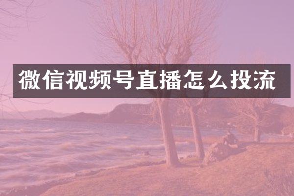 微信视频号直播怎么投流