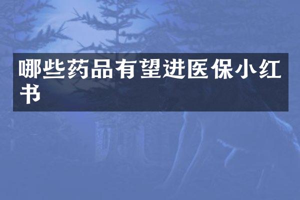 哪些药品有望进医保小红书