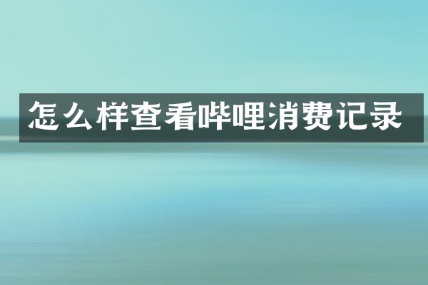怎么样查看哔哩消费记录