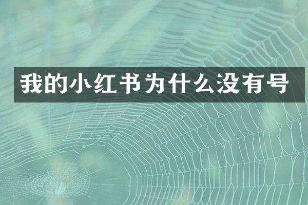 我的小红书为什么没有号