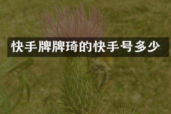 快手牌牌琦的快手号多少