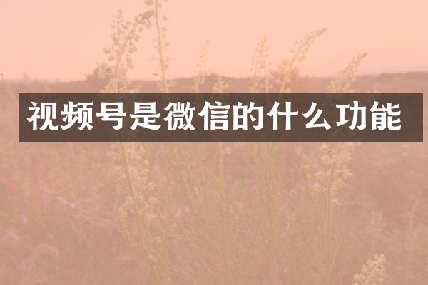 视频号是微信的什么功能