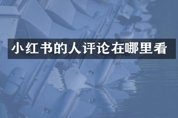 小红书的人评论在哪里看