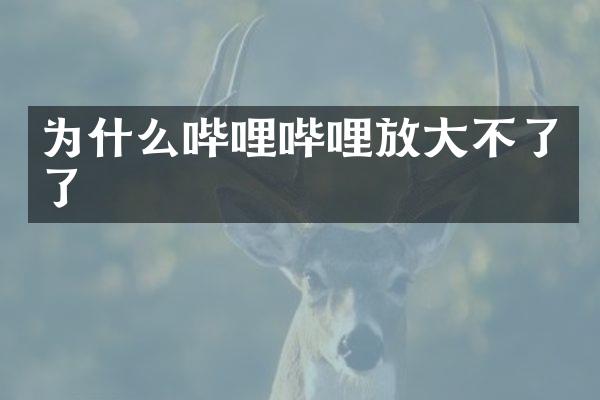 为什么哔哩哔哩放大不了了