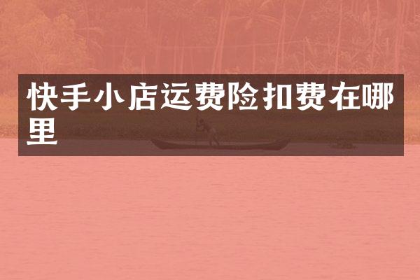 快手小店运费险扣费在哪里