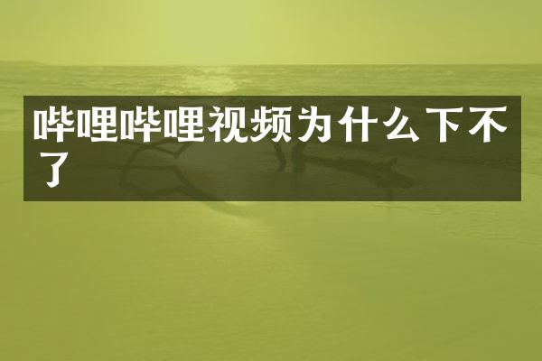 哔哩哔哩视频为什么下不了
