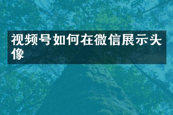 视频号如何在微信展示头像