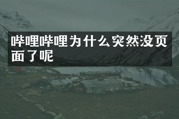 哔哩哔哩为什么突然没页面了呢