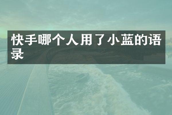 快手哪个人用了小蓝的语录
