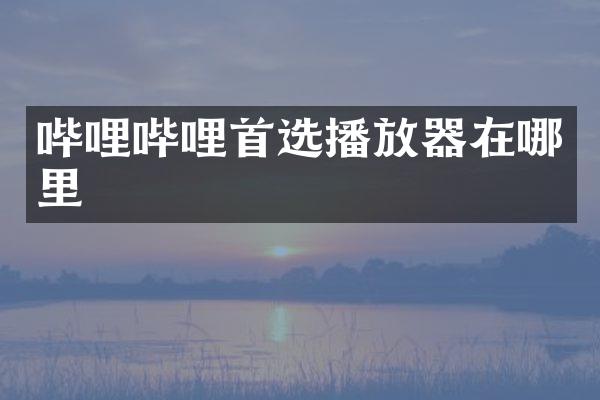 哔哩哔哩首选播放器在哪里