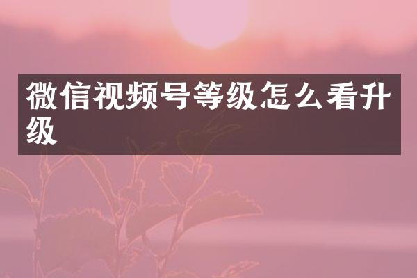 微信视频号等级怎么看升级