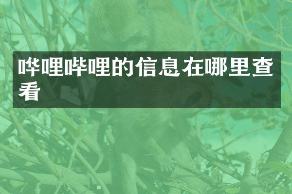 哗哩哔哩的信息在哪里查看