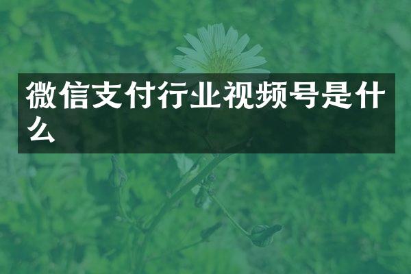 微信支付行业视频号是什么