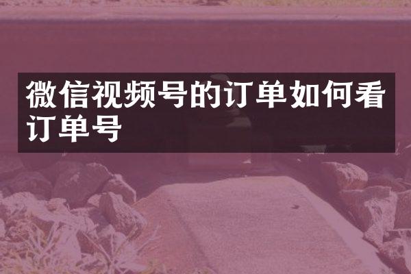 微信视频号的订单如何看订单号