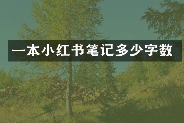 一本小红书笔记多少字数