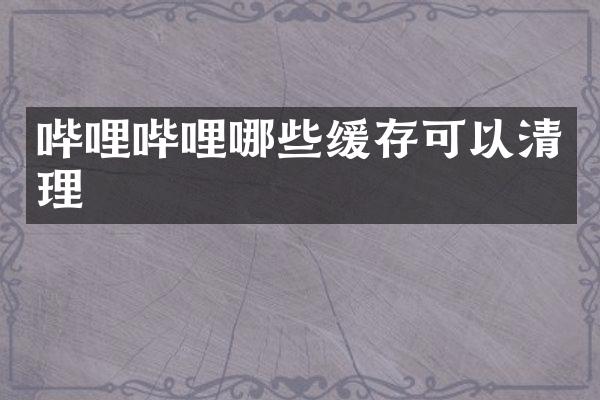 哔哩哔哩哪些缓存可以清理