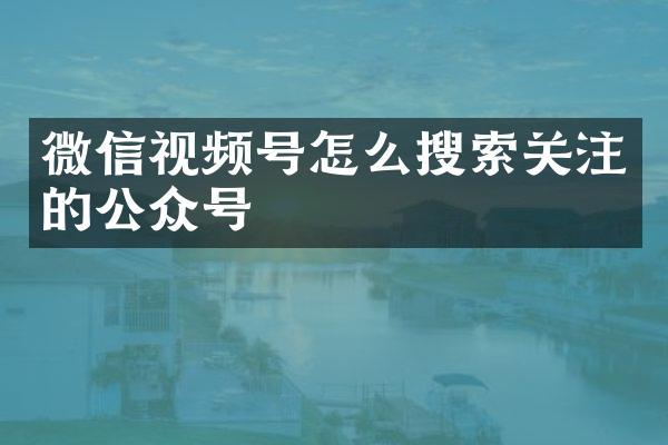 微信视频号怎么搜索关注的公众号