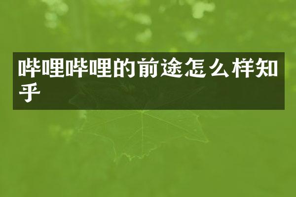 哔哩哔哩的前途怎么样知乎