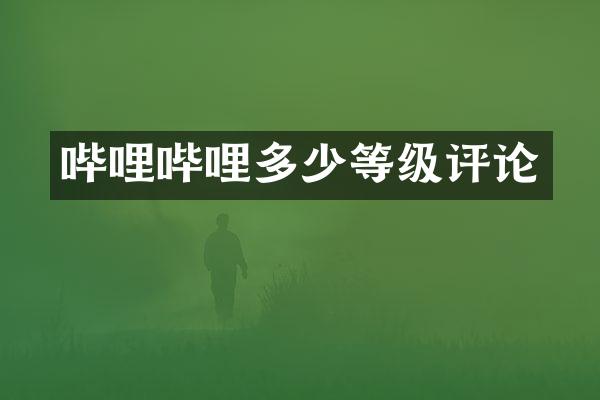 哔哩哔哩多少等级评论