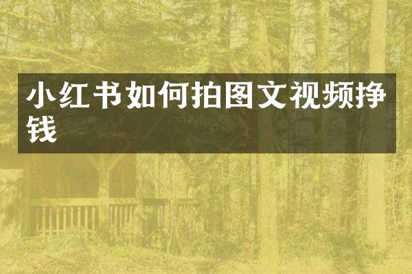 小红书如何拍图文视频挣钱