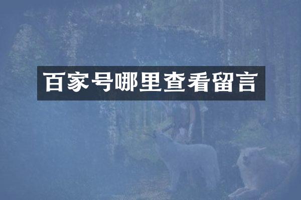 百家号哪里查看留言