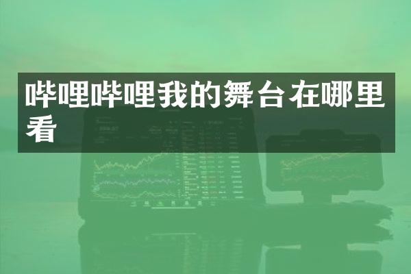 哔哩哔哩我的舞台在哪里看