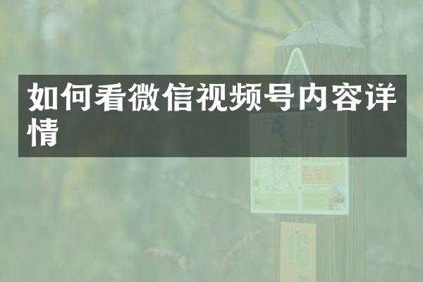 如何看微信视频号内容详情